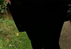 Tattood puta Sandee Westgate perforado videos porno venezolanos